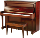 Đàn Piano Brandnew Essex EUP-123FL